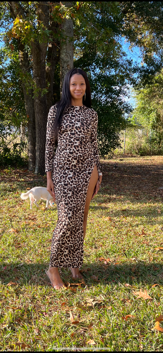 Foxy and Fierce Maxi Dress